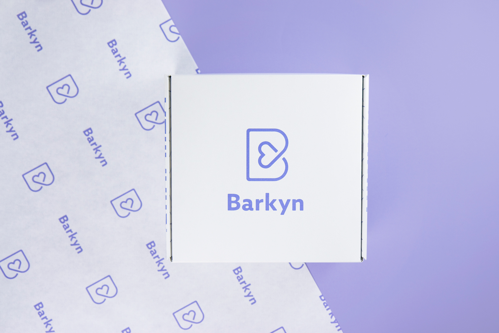 Barkyn包装——你需要让你的狗开心的一切